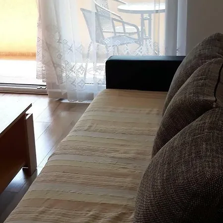 Mijo 트로기르